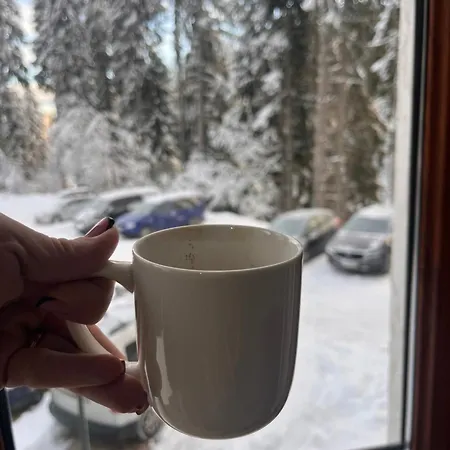 Апартамент Elizi2 Winter